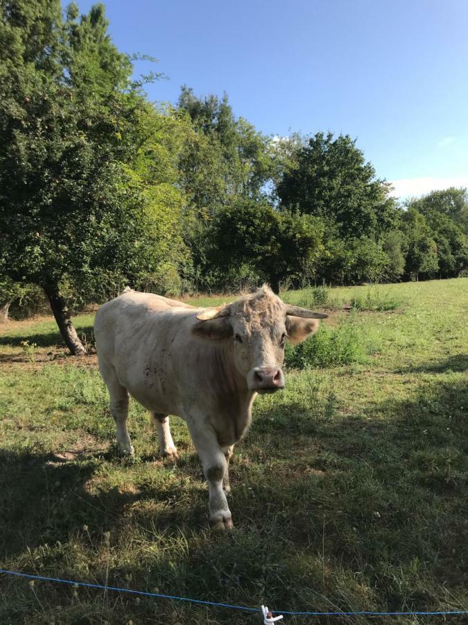La Bergerie Du Domaine Des Buissonnets Βίλα Écardenville-sur-Eure Εξωτερικό φωτογραφία